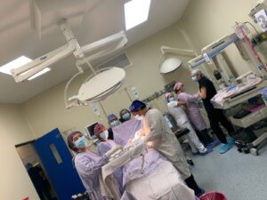 Nacen trillizos en Irapuato: la…