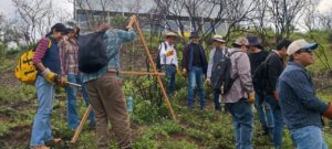 Incendio en Marfil: Universidad de Guanajuato impulsa restauración ecológica tras el fuego del 28 de abril