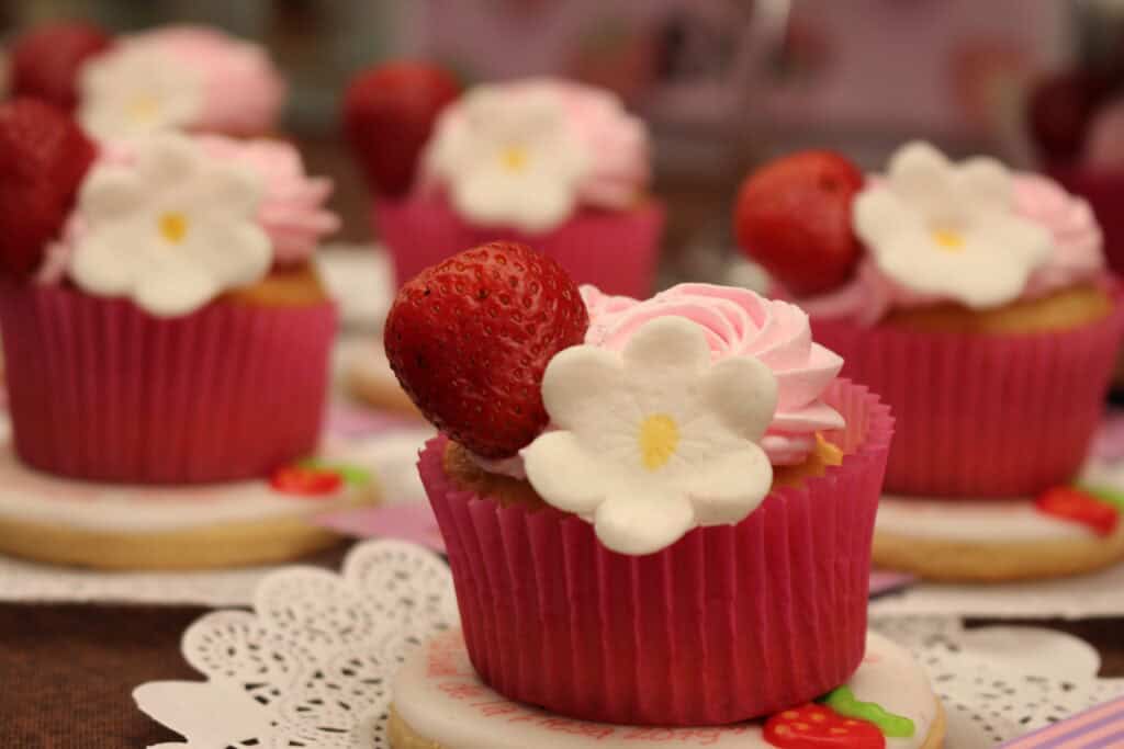 María Guadalupe Robles León