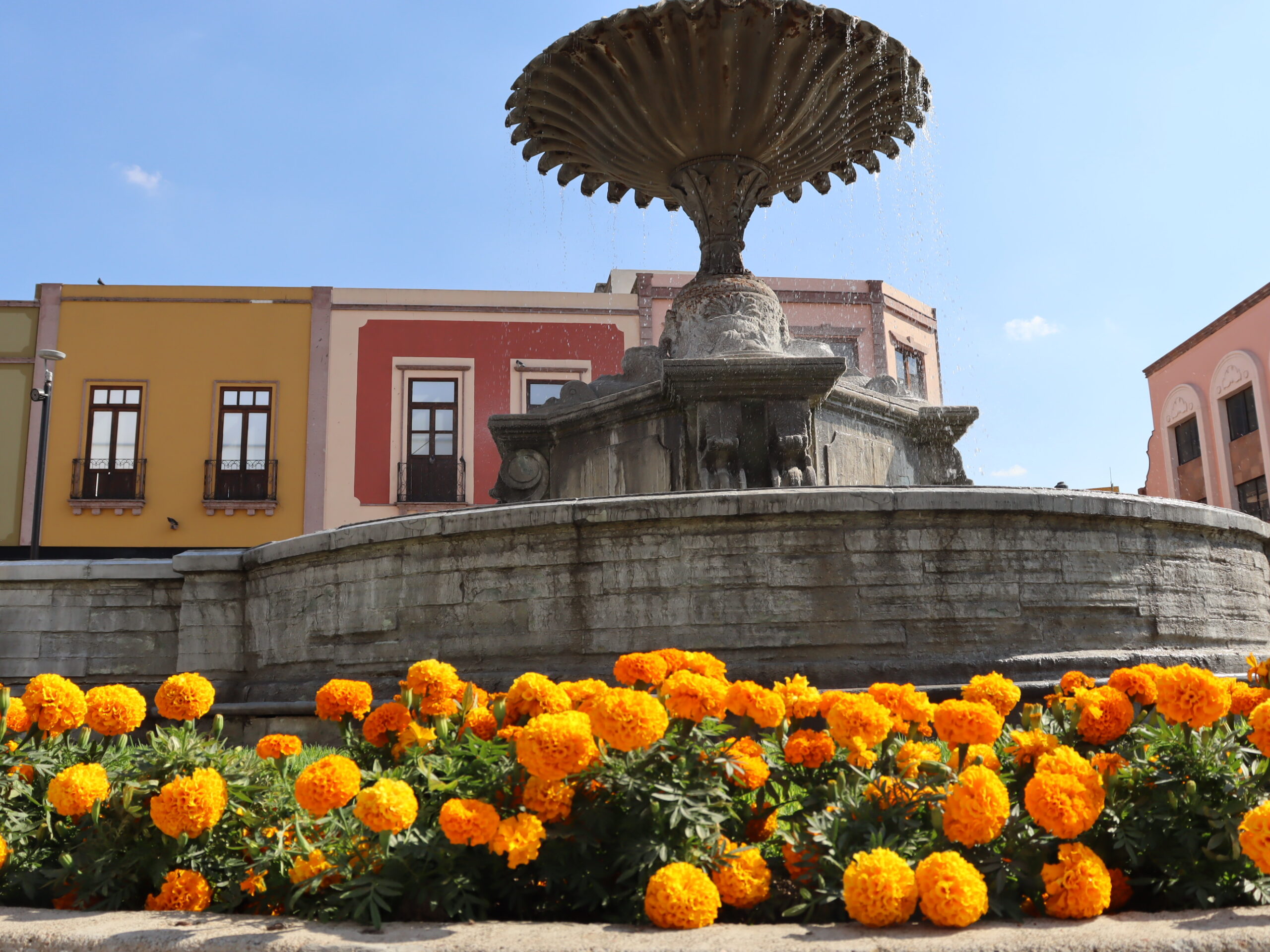 REviviendo tradiciones en irapuato festival