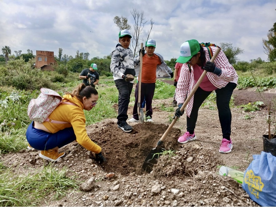 Guardería de árboles nativos en Guanajuato: el vivero de la UG que une ciencia, comunidad y apoyo japonés