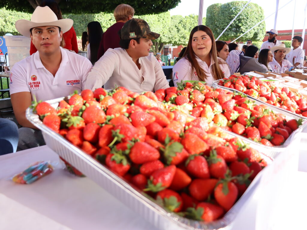 “La Fresa de Oro” corona éxito del Festival de la Fresa 2025, el campo irapuatense y la identidad de una ciudad