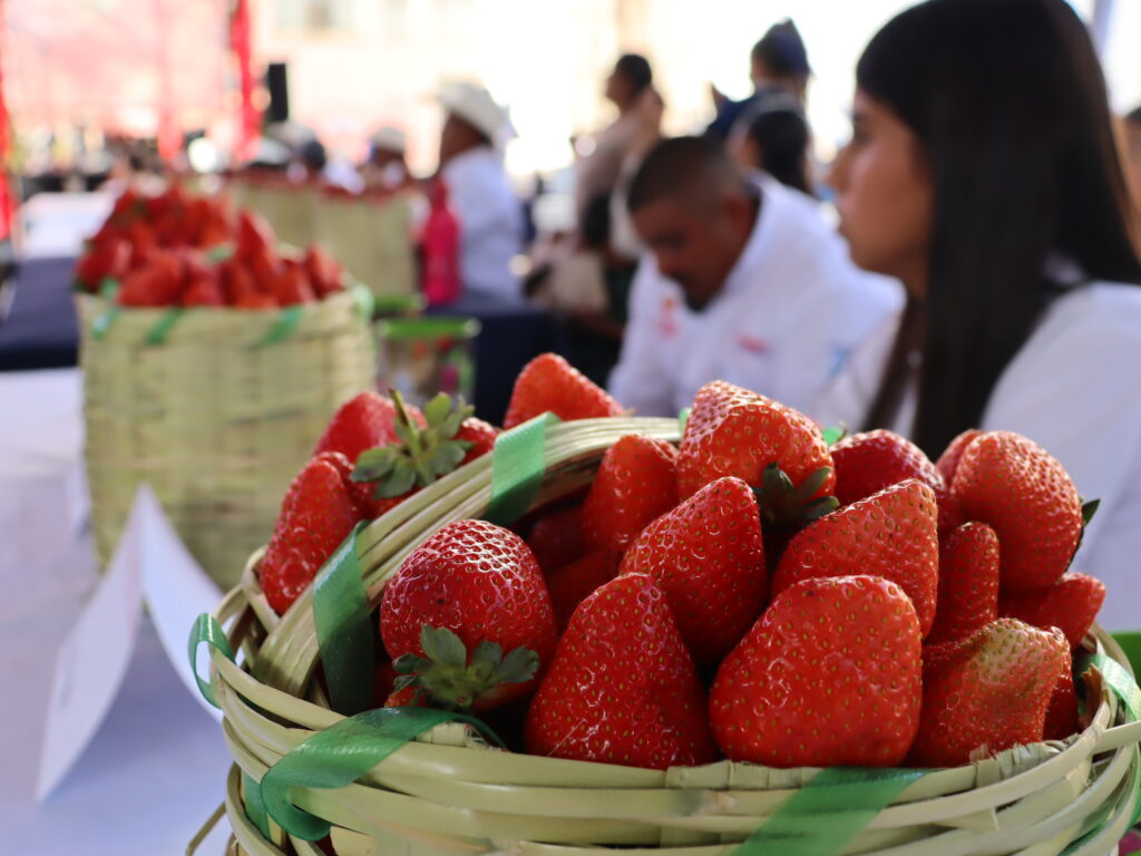 “La Fresa de Oro” corona éxito del Festival de la Fresa 2025, el campo irapuatense y la identidad de una ciudad