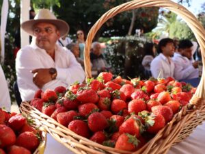 La Fresa de Oro corona éxito del Festival de la Fresa 2025, el campo irapuatense y la identidad de una ciudad