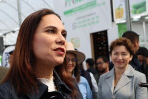 Irapuato refuerza su ciberseguridad tras intentos de hackeo: ‘Nadie está exento’, advierte Lorena Alfaro”