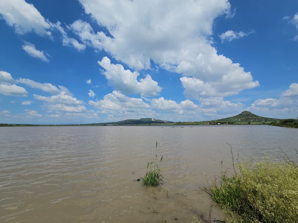 Cerro de Arandas cumple 20 años como Área Natural Protegida: el pulmón que Irapuato decidió defender