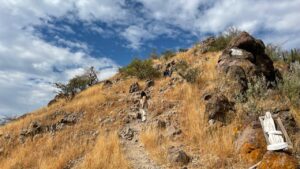 Cerro de Arandas cumple 20…