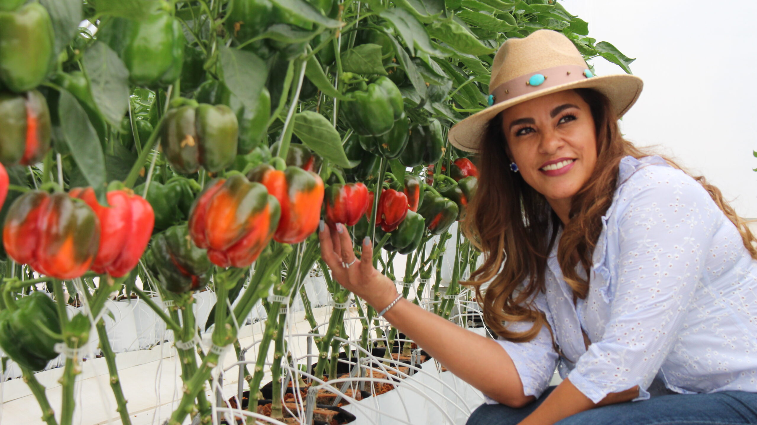 Expo agroalimentaria 2025