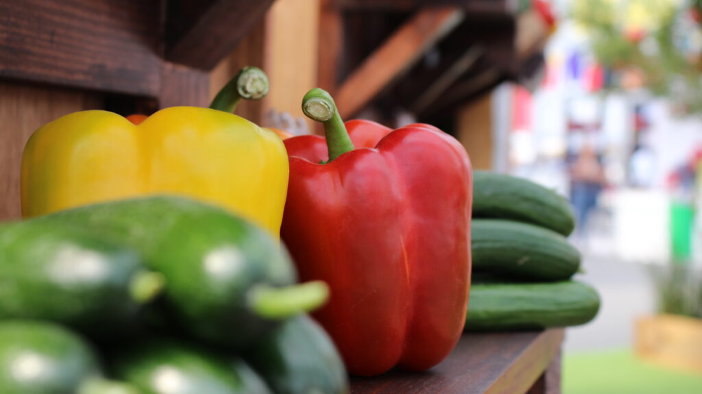 expo agroalimentaria