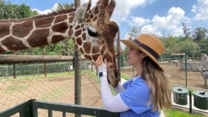 ¡Abrirá Zoológico de Irapuato todos los días! Sí, también 24, 25, 31 de diciembre y 1 de enero