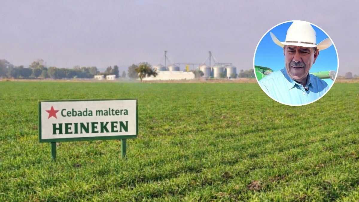 En plena crisis del campo, proyecto estatal Xonotli asegura contrato de cebada con Heineken