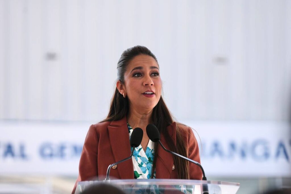 Masacre en Salamanca: Libia Dennise admite disputa criminal y defiende la estrategia CONFÍA