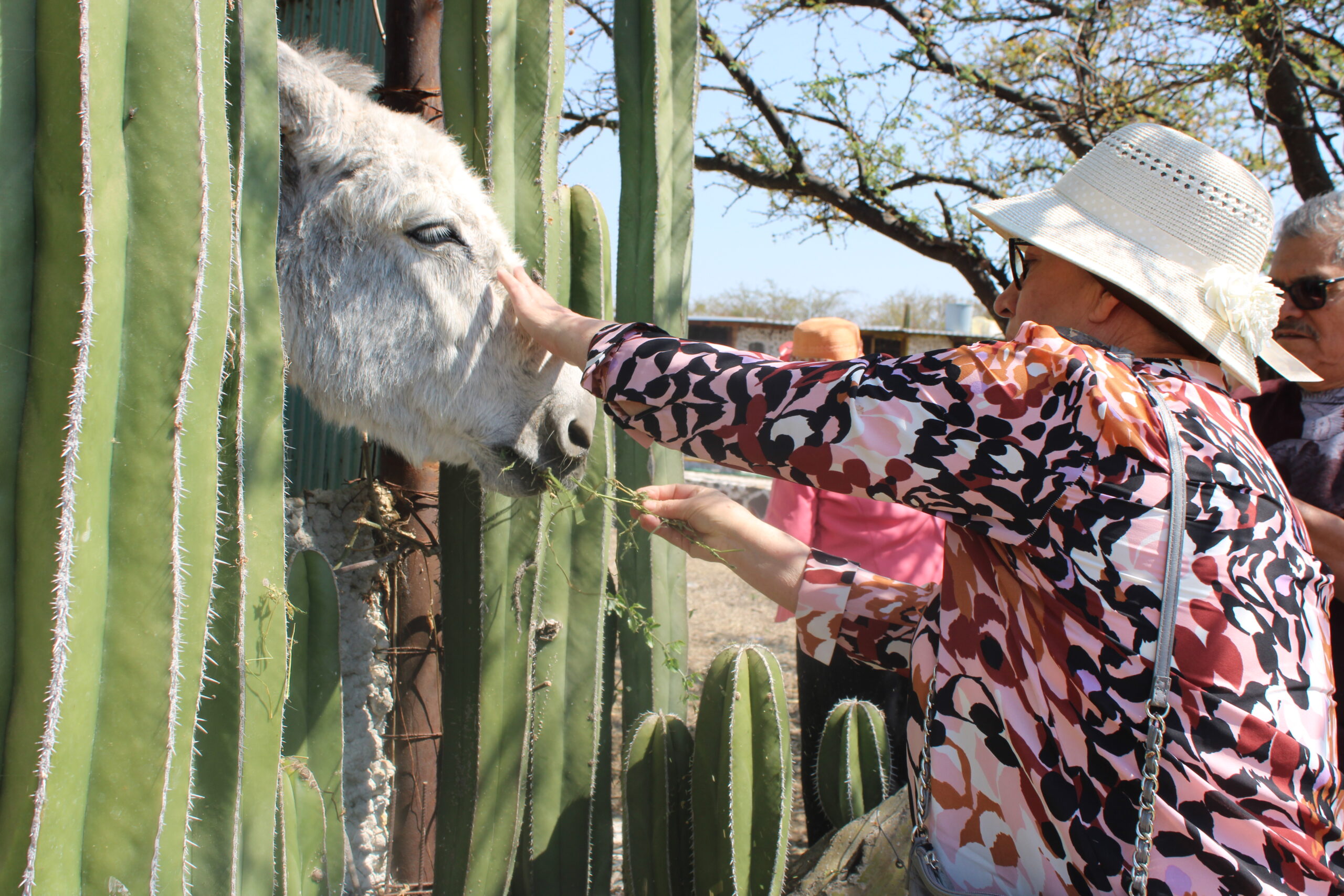 Así es la Granja La Bonita del Rancho La Cumbre en Irapuato: la historia del México rural en cada paso