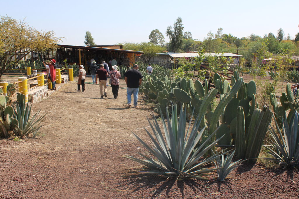 Así es la Granja La Bonita del Rancho La Cumbre en Irapuato: la historia del México rural en cada paso