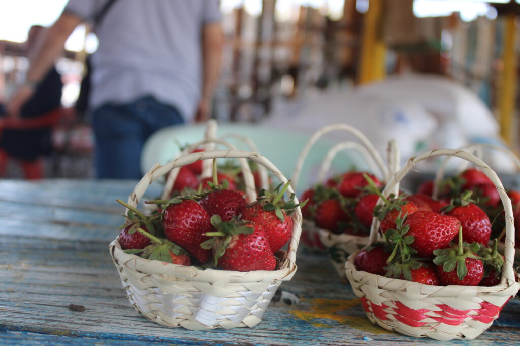 Así es la Granja La Bonita del Rancho La Cumbre en Irapuato: la historia del México rural en cada paso