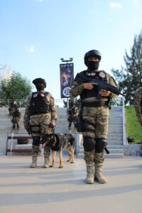 IRAPUATO FORTALECE SU UNIDAD K9 CON NUEVOS PERROS POLICÍAS PARA BÚSQUEDA DE PERSONAS Y NARCÓTICOS
