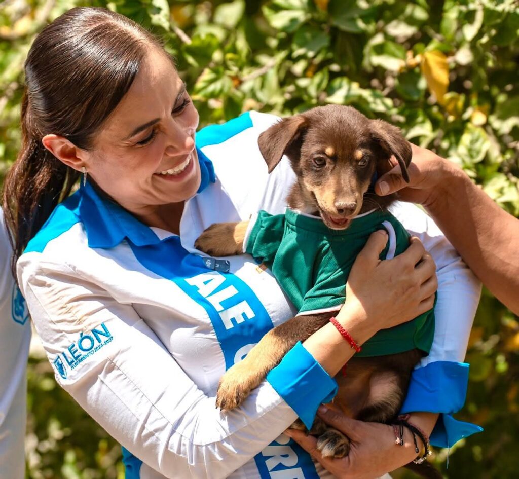 Ale Gutiérrez, alcaldesa de León renuncia al PAN: partido va en caída libre