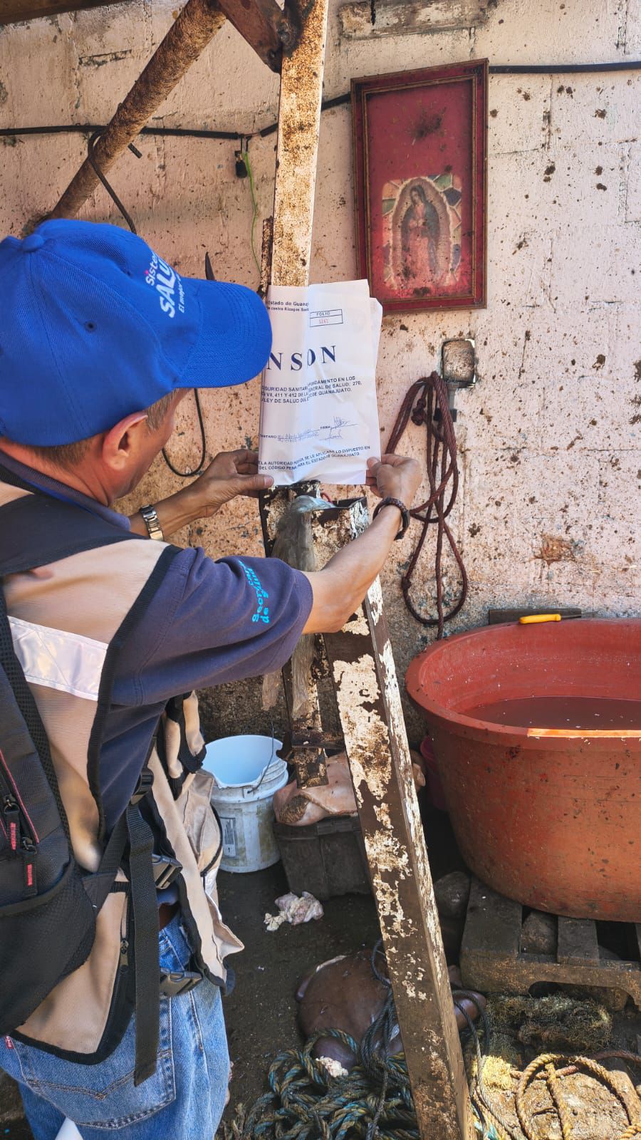 SSG suspende matadero particular en Pénjamo por riesgos sanitarios