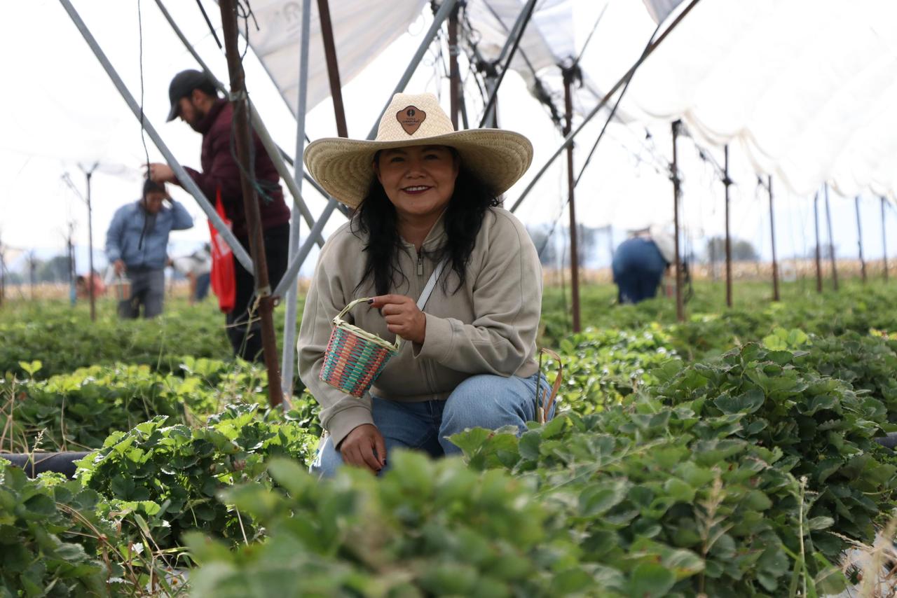 TIANGUIS TURÍSTICO 2026: IRAPUATO APUESTA POR LA CAPACITACIÓN PARA ATRACCIÓN DE VISITANTES A LA CIUDAD DE LAS FRESAS