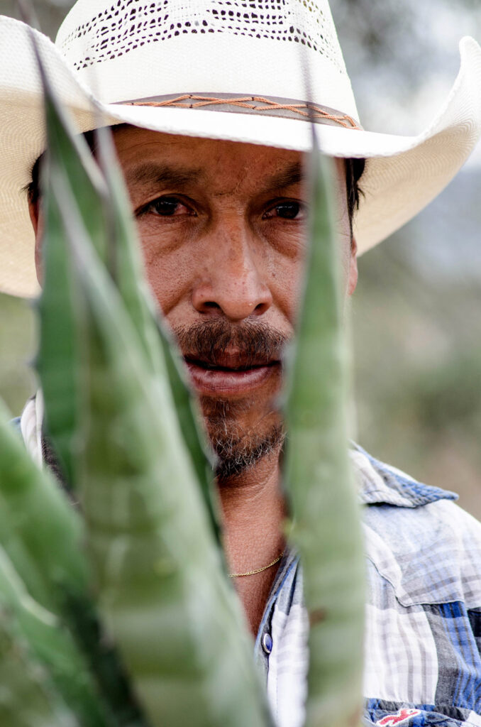 🥃 Guanajuato sigue creciendo en la industria mezcalera.El IMPI otorgó la Denominación de Origen Mezcal a Comonfort, Dolores Hidalgo, San José Iturbide y Tierra Blanca, ampliando la presencia del estado dentro de una de las industrias con mayor potencial turístico y económico del país.Con ello, Guanajuato ya suma seis municipios con este reconocimiento oficial.#Guanajuato #Mezcal #DenominaciónDeOrigen #DoloresHidalgo #Comonfort