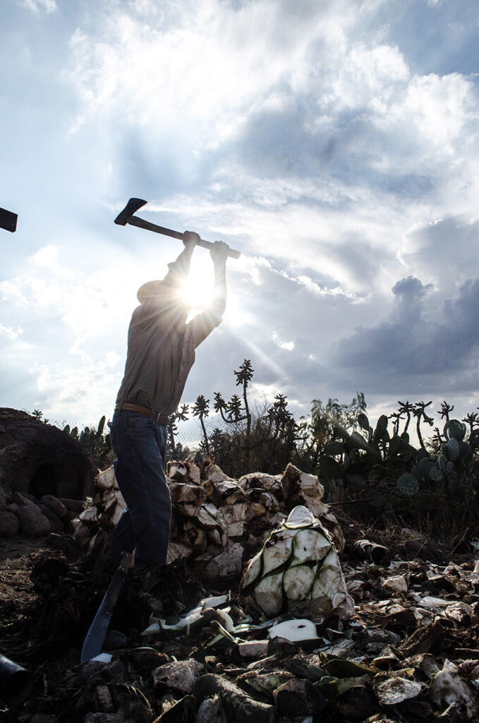 🥃 Guanajuato sigue creciendo en la industria mezcalera.El IMPI otorgó la Denominación de Origen Mezcal a Comonfort, Dolores Hidalgo, San José Iturbide y Tierra Blanca, ampliando la presencia del estado dentro de una de las industrias con mayor potencial turístico y económico del país.Con ello, Guanajuato ya suma seis municipios con este reconocimiento oficial.#Guanajuato #Mezcal #DenominaciónDeOrigen #DoloresHidalgo #Comonfort