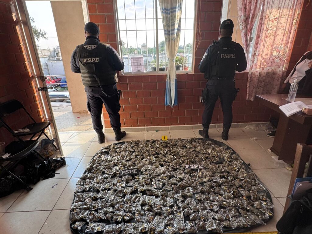 Desmantelan presunto punto de droga en Silao; aseguran más de 18 mil dosis y un caimán