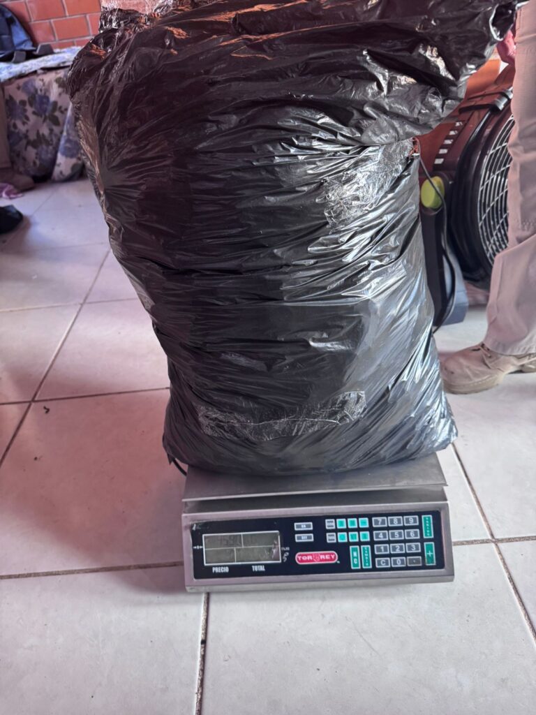 Desmantelan presunto punto de droga en Silao; aseguran más de 18 mil dosis y un caimán