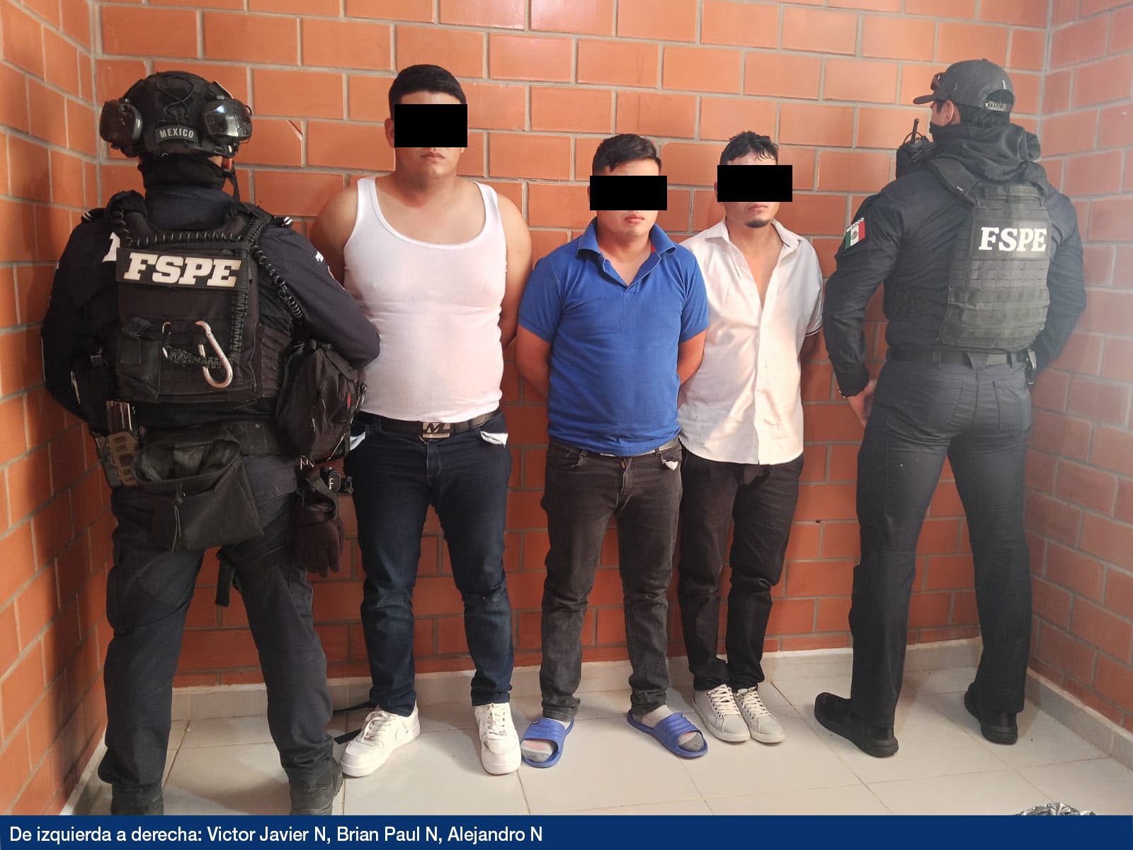 Desmantelan presunto punto de droga en Silao; aseguran más de 18 mil dosis y un caimán