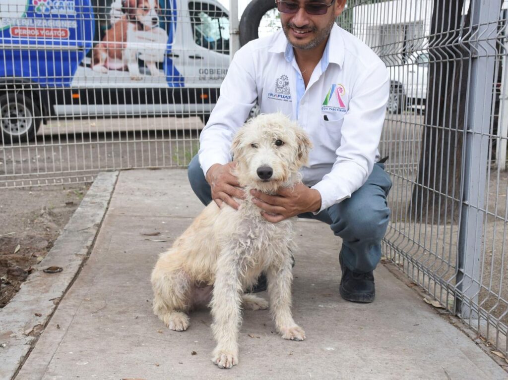 El centro se encuentra ubicado en la calle Excélsior número 210, en la colonia Ciudad de los Olivos, donde personal especializado acompaña a las familias durante todo el proceso de adopción.