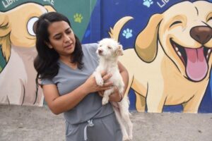 Perros y gatos esperan hogar: CANI impulsa adopciones en Irapuato