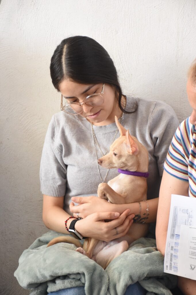 ÉXITO Y GRAN RESPUESTA CIUDADANA EN LA JORNADA DE ESTERILIZACIÓN ANIMAL EN LA CUARTA BRIGADA