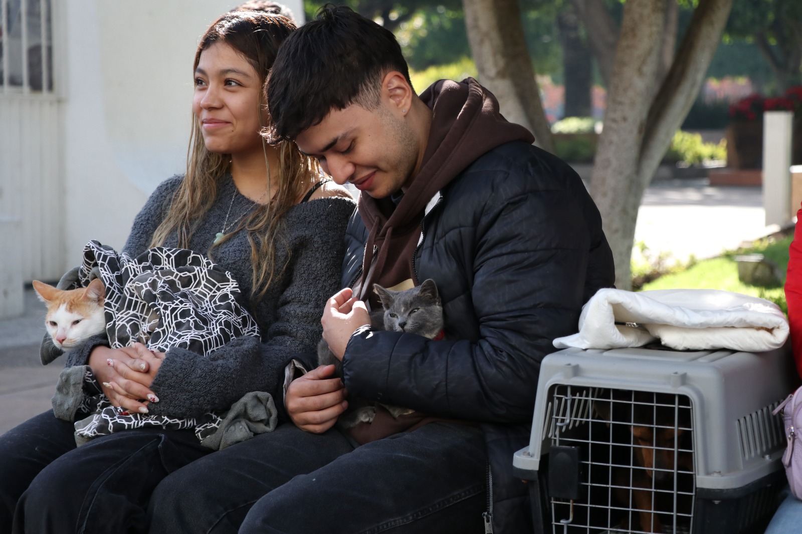 CONSOLIDA IRAPUATO UNA POLÍTICA SANITARIA INTEGRAL CON LA RED MUNICIPAL DE SALUD ANIMAL