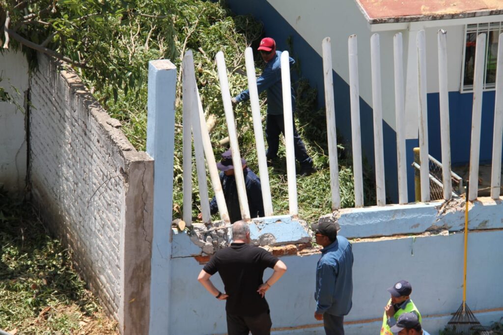 Lluvias y fuertes vientos derriban 27 árboles y dañan semáforos en Irapuato; atienden 51 reportes