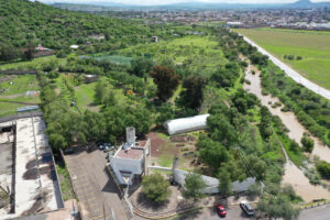 Un parque a 10 minutos de tu casa: esta es la ruta verde que plantea Irapuato rumbo al 2050