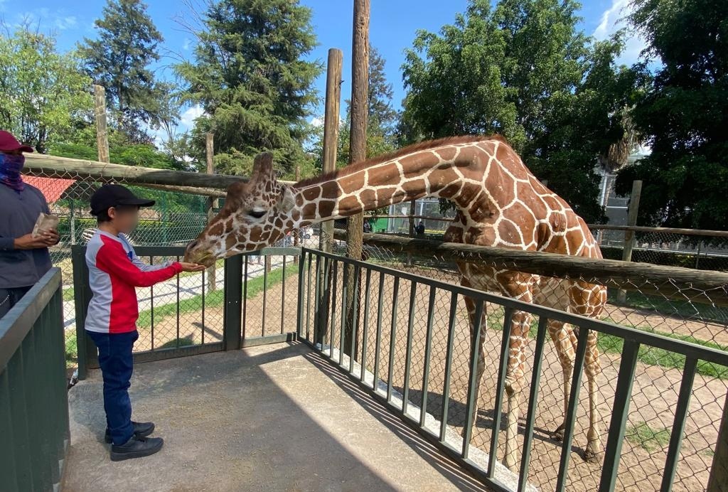 Zoológico de Irapuato abre sus espacios para eventos corporativos y celebraciones de hasta 5 mil personas