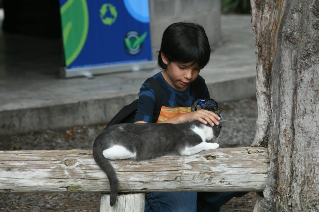 Guanajuato firma pacto contra el maltrato animal y prepara reforma al Código Penal